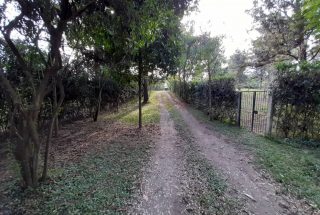 Driveway on the 3 Bedroom Cottage for Sale in Arusha by Tanganyika Estate Agents