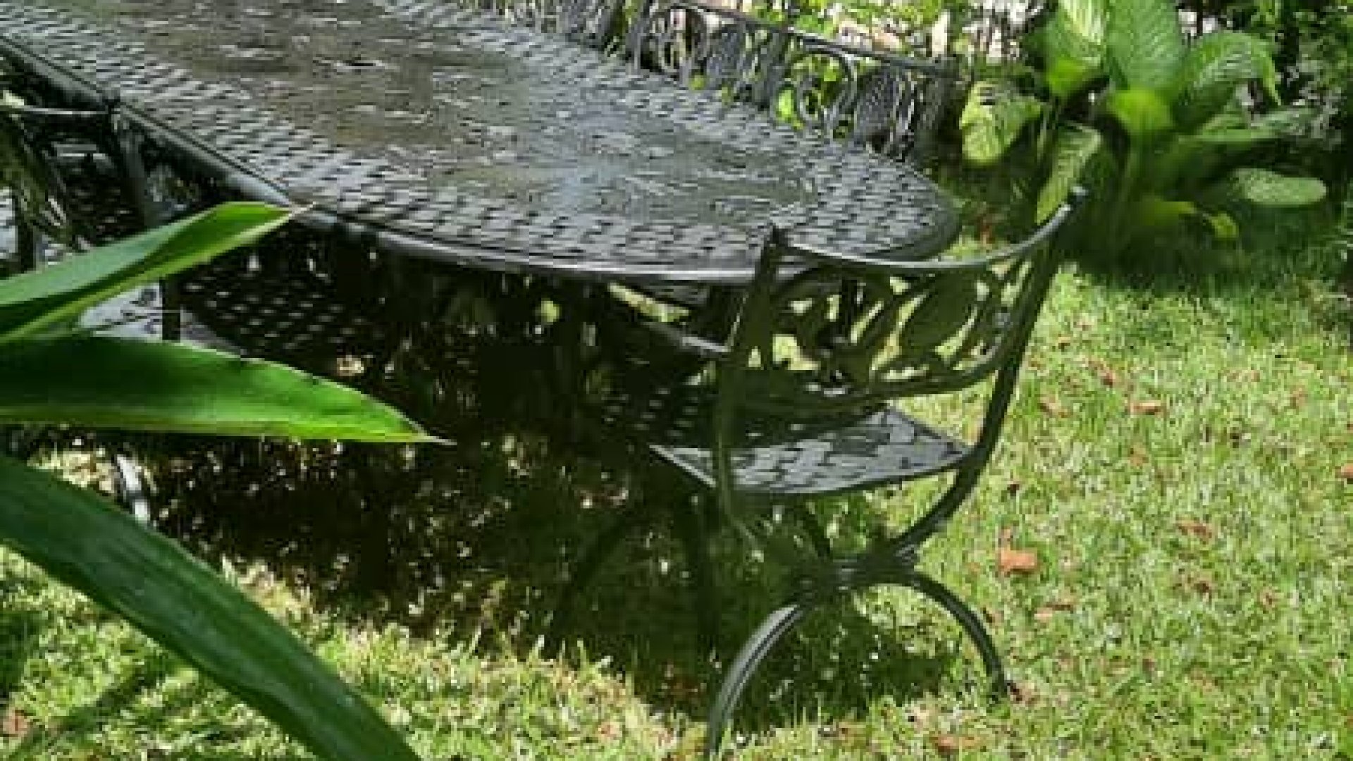 The Garden of the Four Bedroom Furnished Ensuite Apartment in Dar