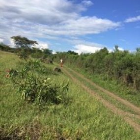 Ten Acres for Sale in Dolly Estate Arusha