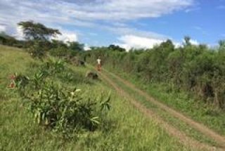 Ten Acres for Sale in Dolly Estate Arusha