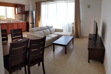 Two Bedroom Flat For Rent in Masaki