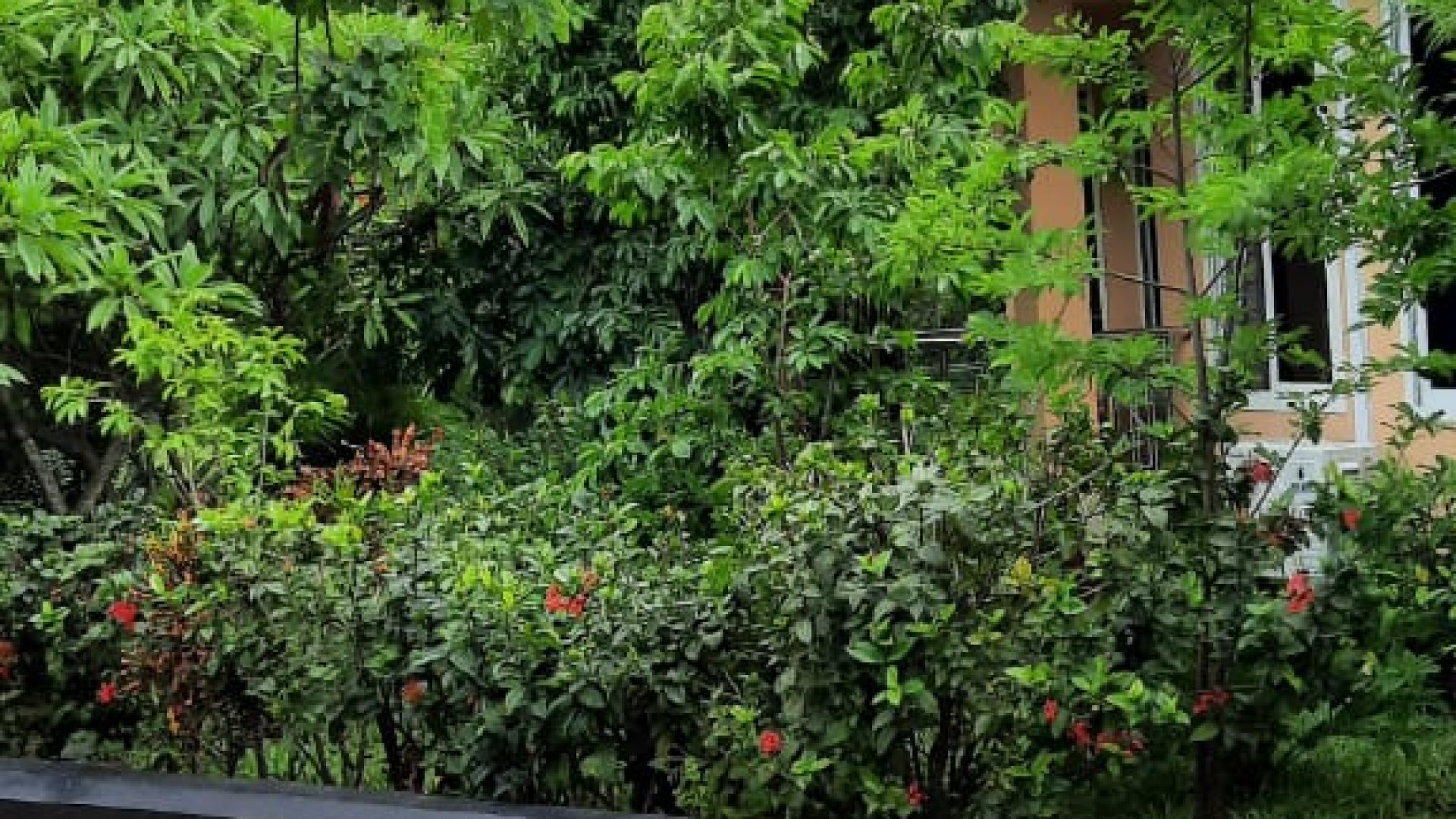 Two Bedroom Furnished House for Rent in Dar es Salaam