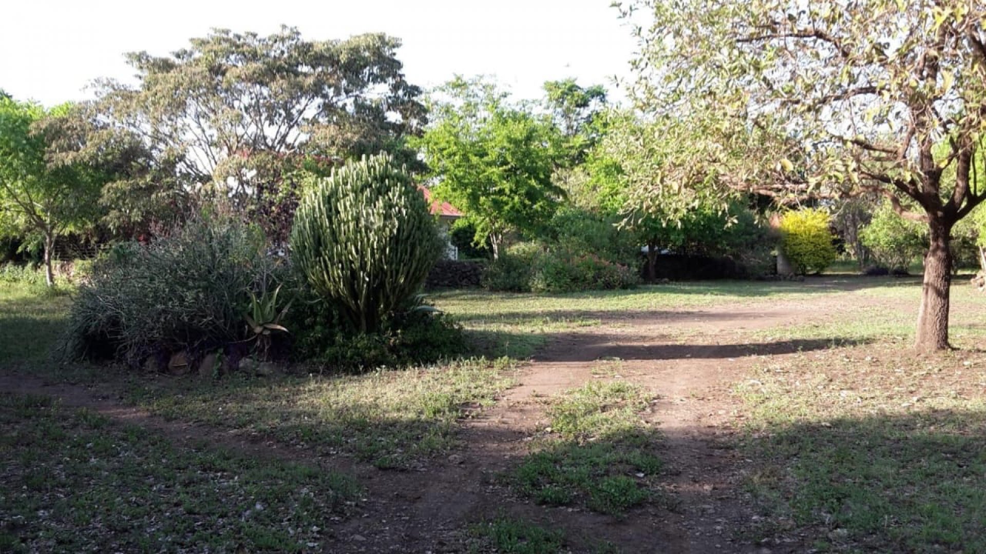 Two Bedroom Home for Sale in Dolly Estate