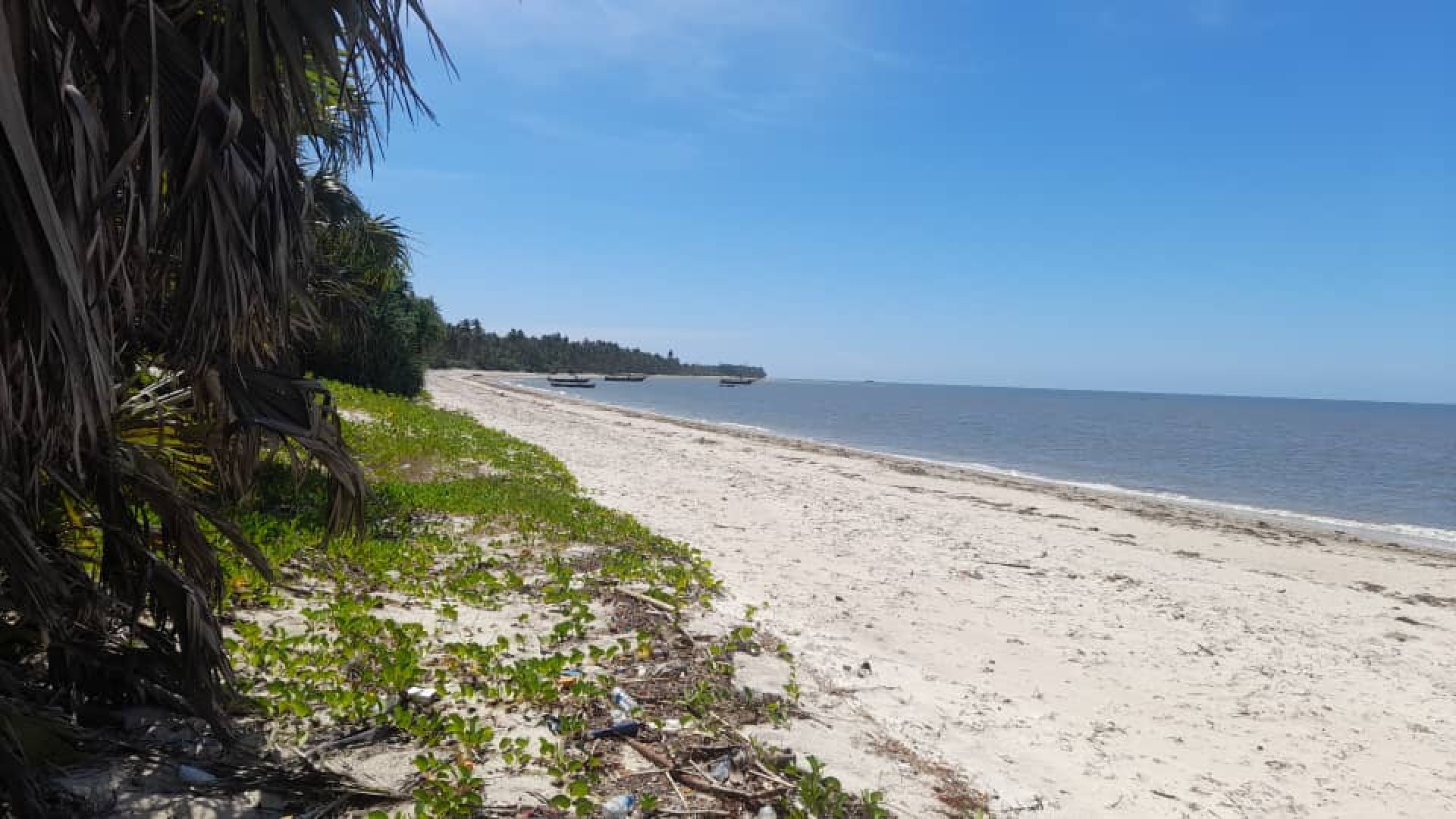 Mikocheni – Lease or JV Opportunity on the beach
