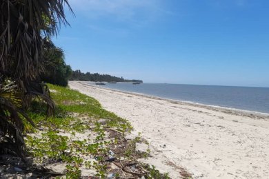 Mikocheni – Lease or JV Opportunity on the beach