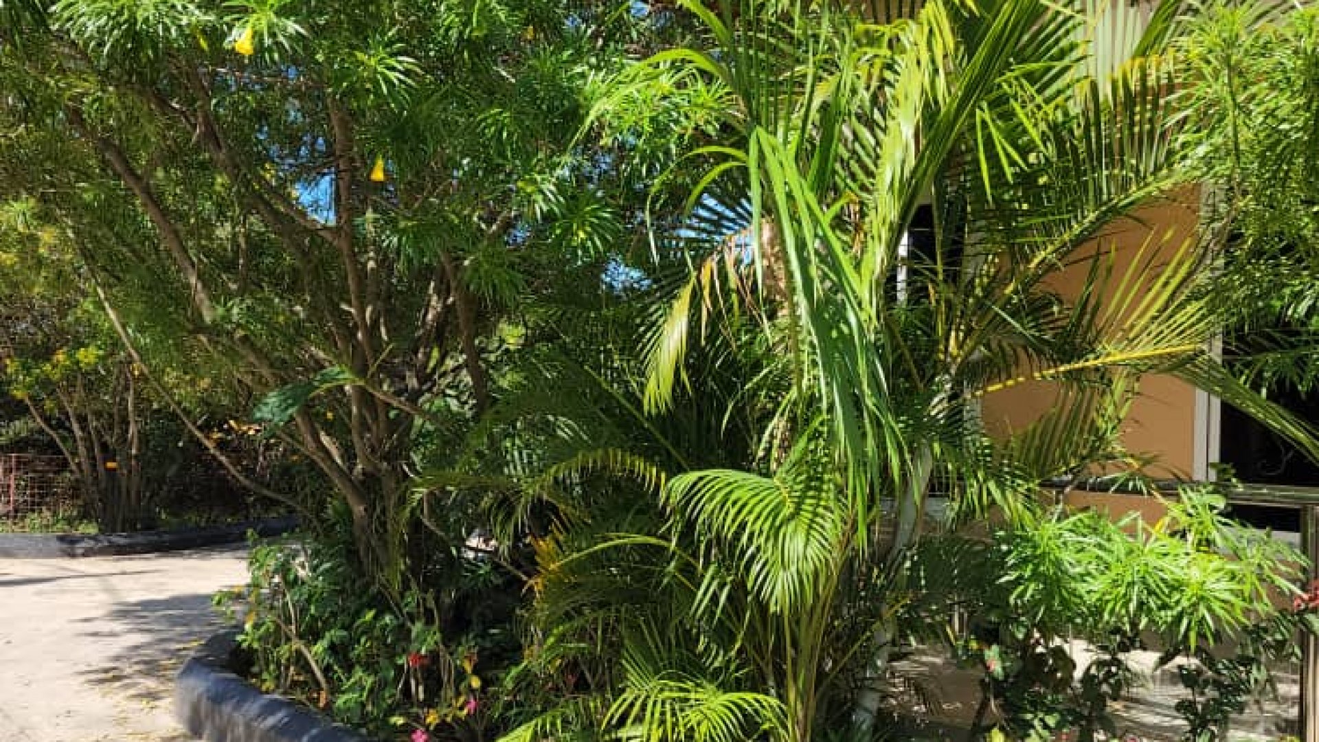 One Bedroom Furnished House in Oyster Bay Dar es Salaam