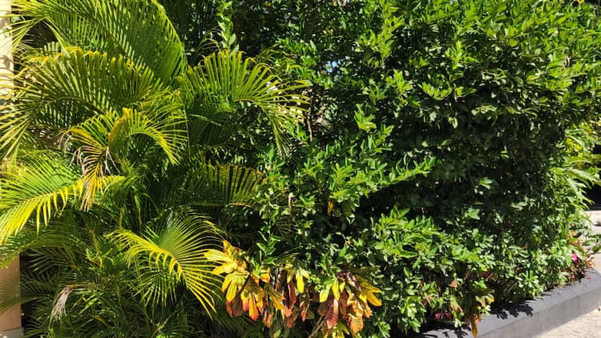 One Bedroom Furnished House in Oyster Bay Dar es Salaam