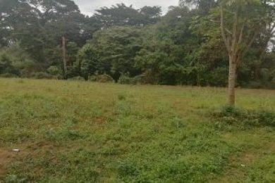 Ten Acre Property for Sale in Tengeru Arusha