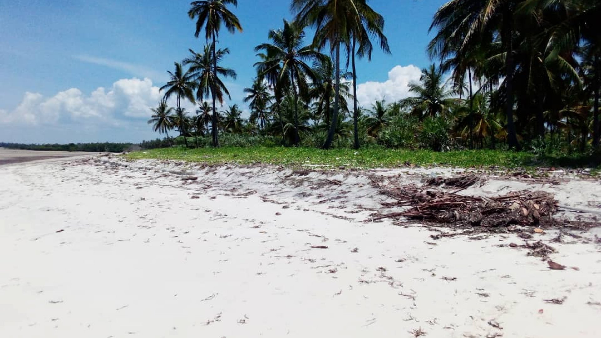 Beach Front Land for Sale in Kipumbwi