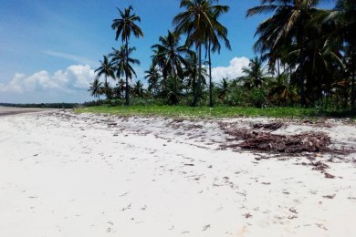 Beach Front Land for Sale in Kipumbwi
