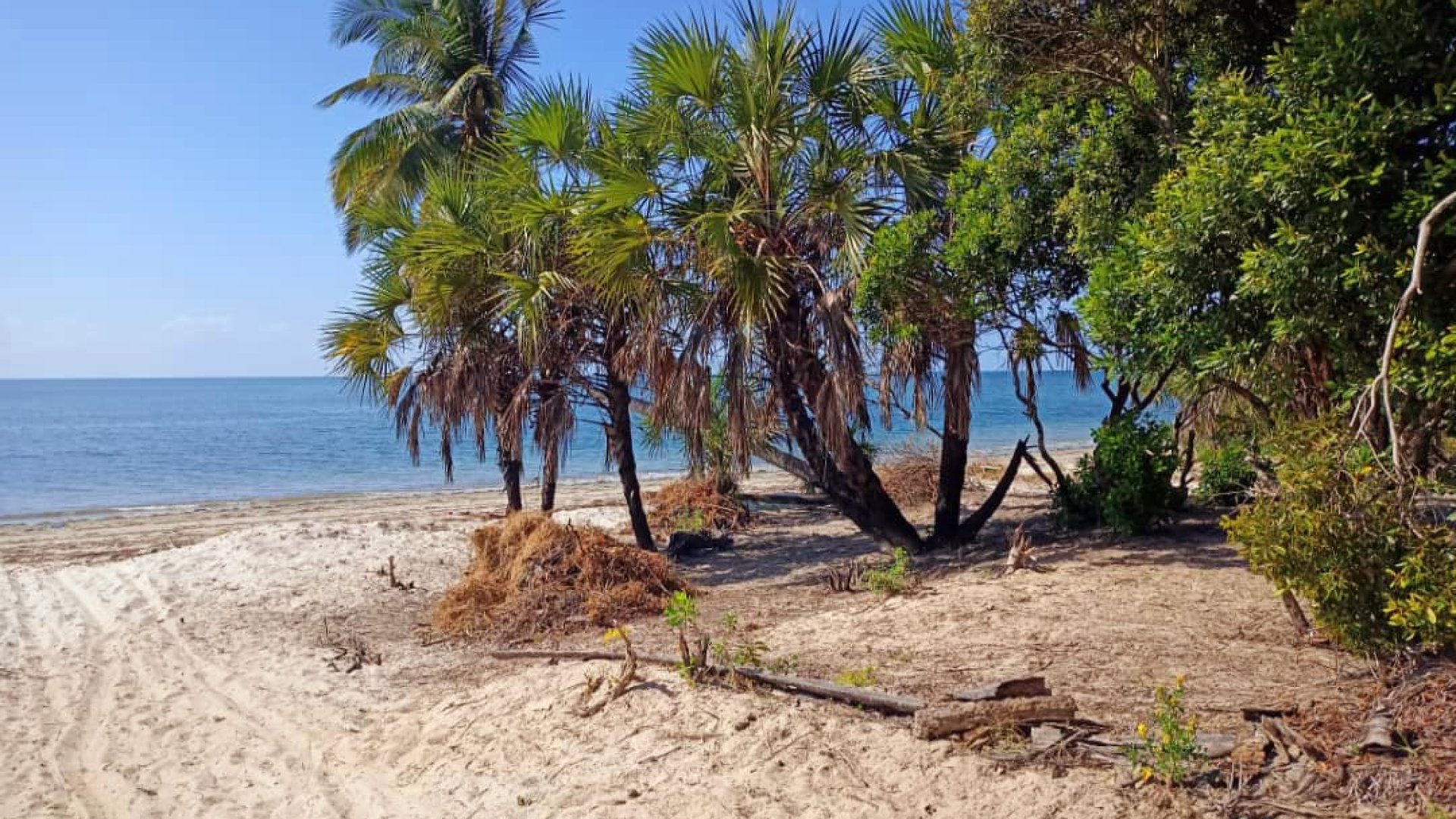 Mikocheni – Open sandy barefoot beach!
