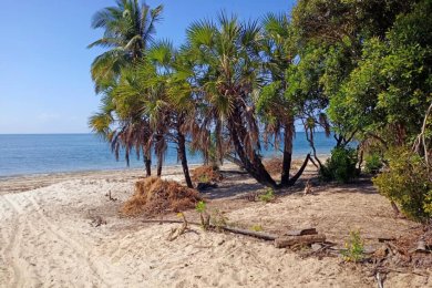 Mikocheni – Open sandy barefoot beach!