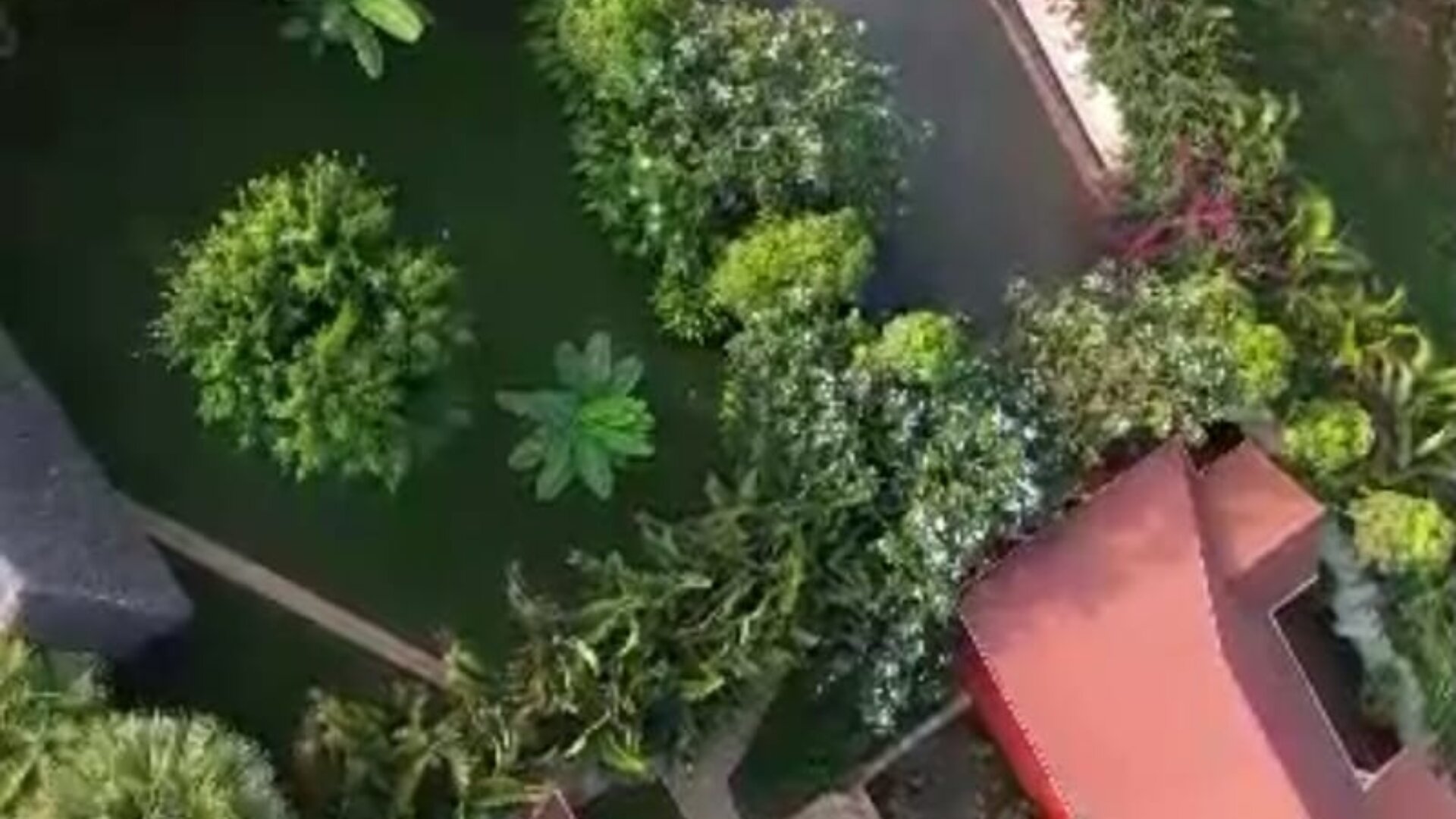 Furnished Lodge for Sale in Usa River