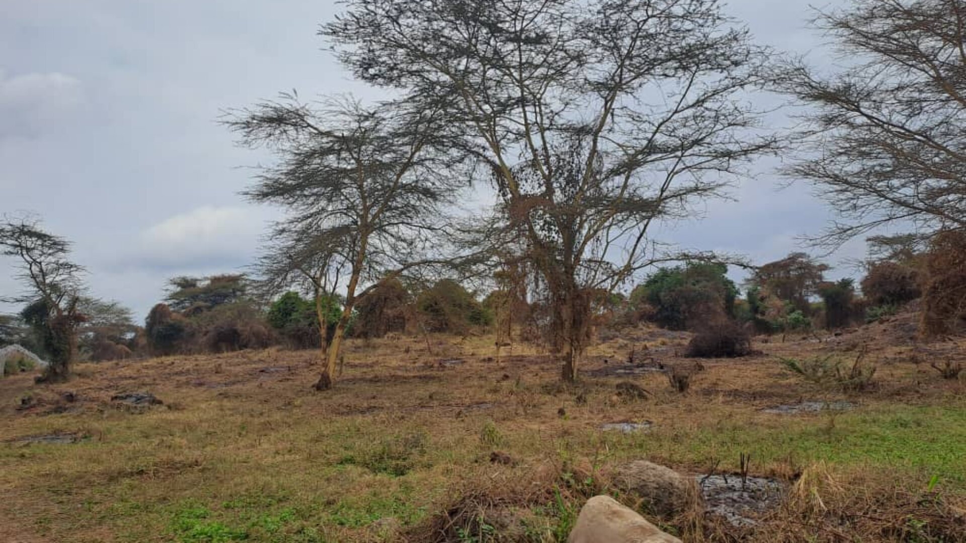 20 Acres For Sale in Dolly Usa River