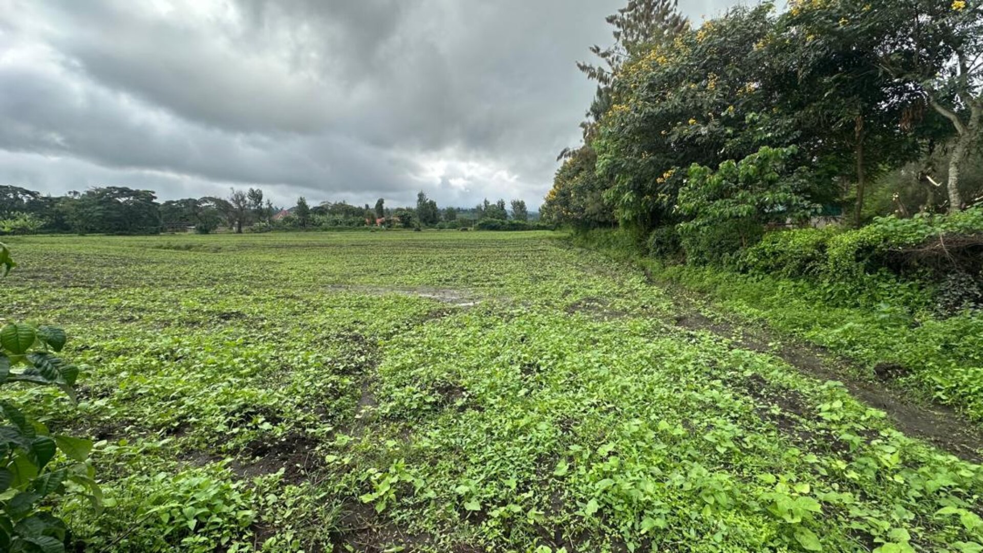 Four Acres Touching Tarmac For Sale in Ngaramtoni
