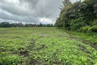 Four Acres Touching Tarmac For Sale in Ngaramtoni