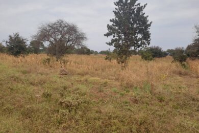 1.5 Acres in Kingori Arusha