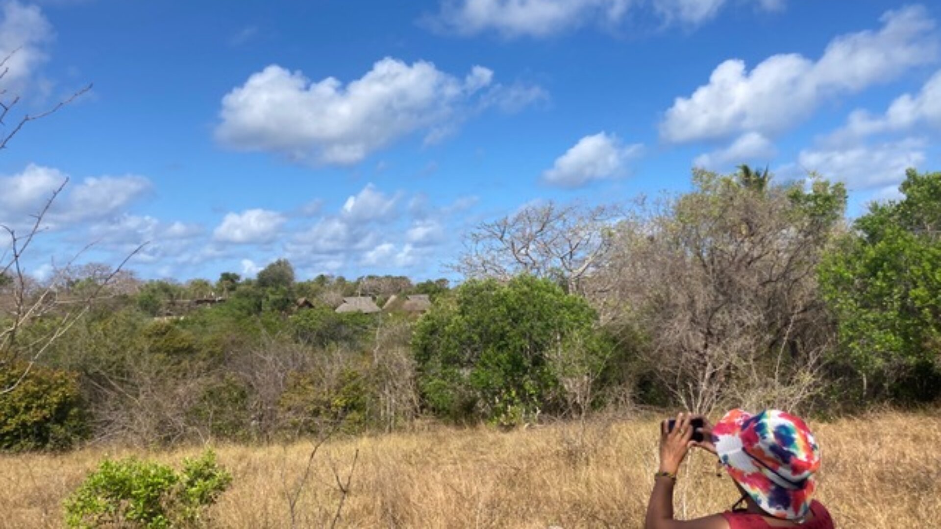 5 acre beachfront property for sale by tzagents.com
