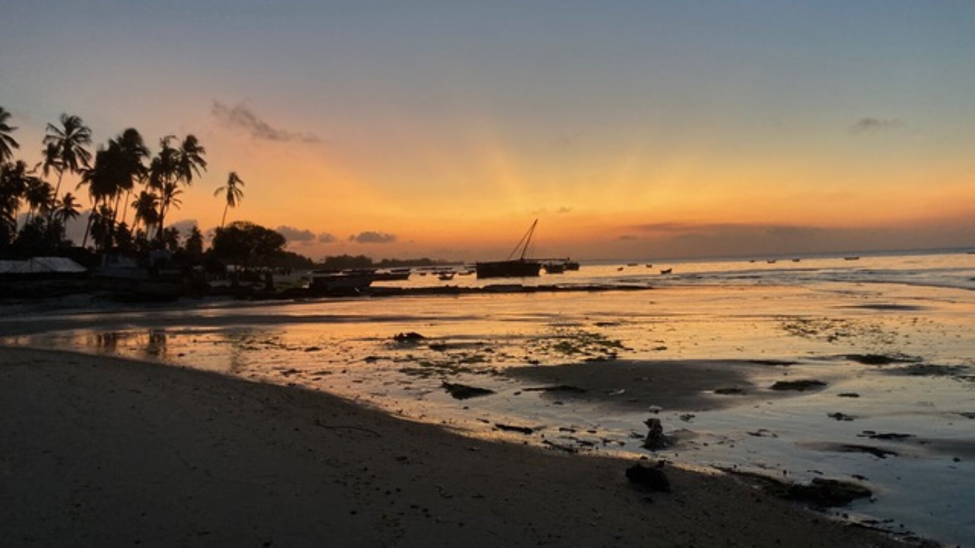 5 acre beachfront property for sale by tzagents.com