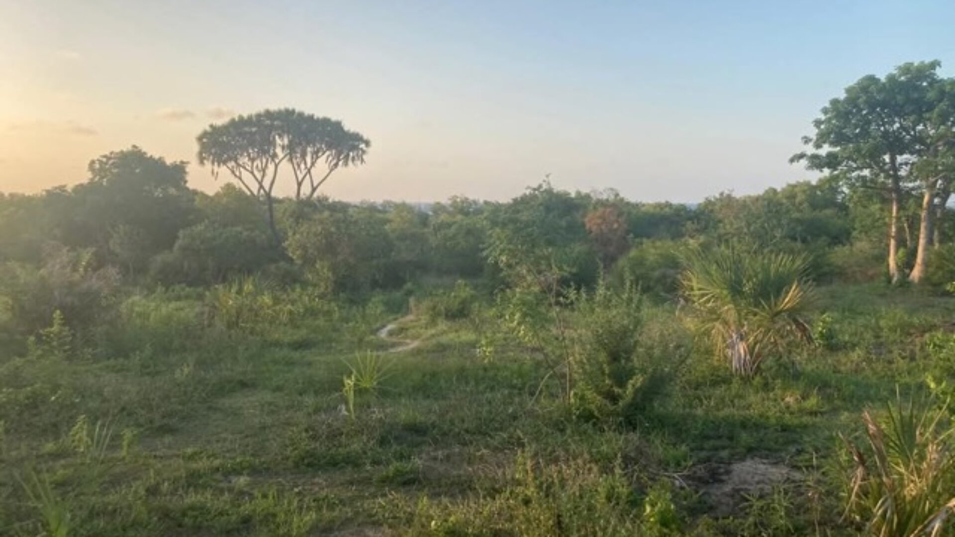 5 acre beachfront property for sale by tzagents.com