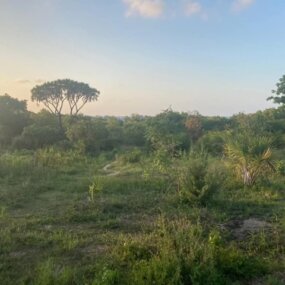 5 acre beachfront property for sale by tzagents.com