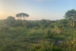5 acre beachfront property for sale by tzagents.com