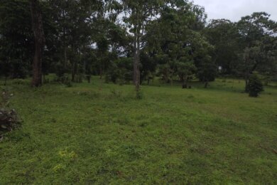 Land For Sale in Momella Touching Arusha National Park
